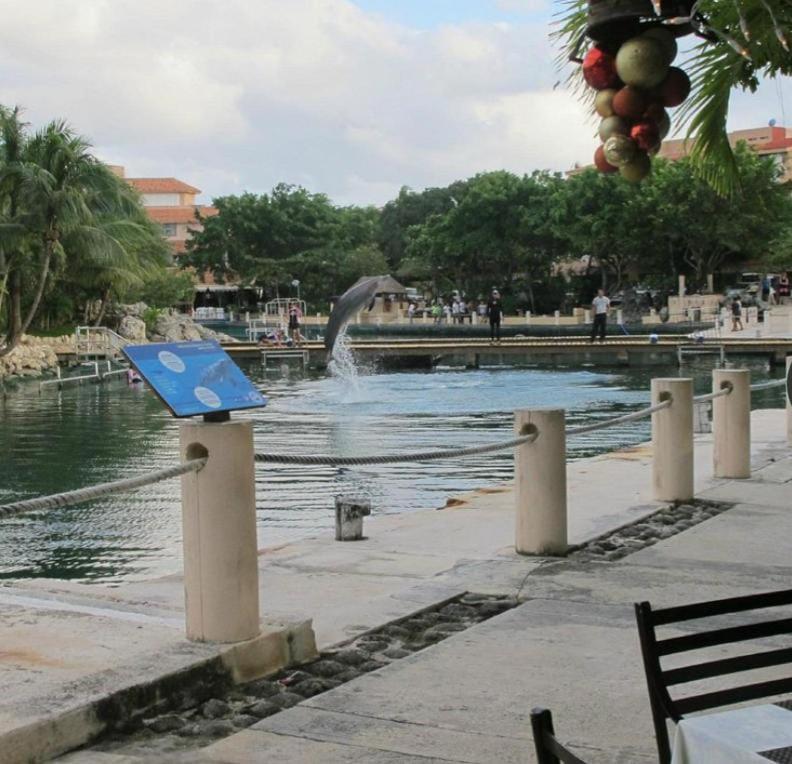 Apartamento Puerto Aventuras, Departamento A Unos Pasos De La Playa Exterior foto